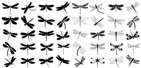 dragonfly silhouette set, collection on white background, vector, isolatedのイラスト素材