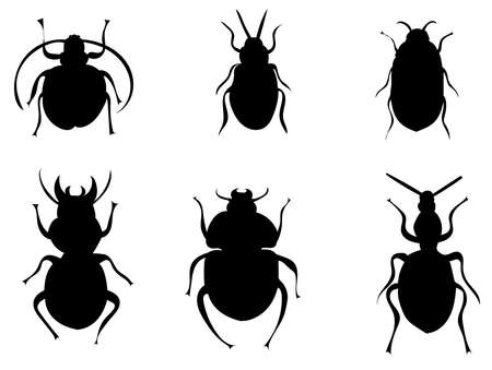 beetle silhouette collection on white background, vector, isolatedのイラスト素材