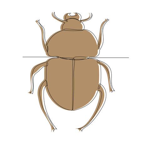 brown beetle, sketch, outline by line, vectorのイラスト素材