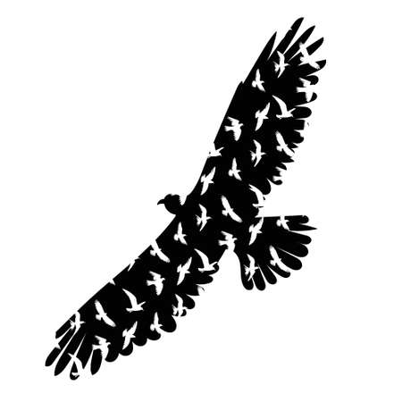 flying bird black silhouette, isolated, vectorのイラスト素材