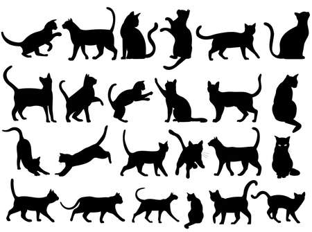 cats, set, black silhouette, isolated, vectorのイラスト素材