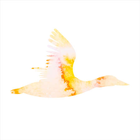 flying duck watercolor silhouette, isolated, vector, iconのイラスト素材