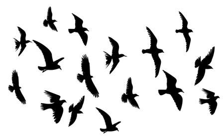birds flying silhouette, icon, isolated, vectorのイラスト素材