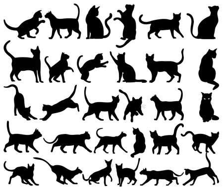 cats set, collection silhouette, isolated, vectorのイラスト素材