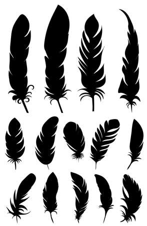 feather bird silhouette collection, isolated, vectorのイラスト素材