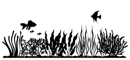 seaweed and fish silhouette collection, isolated, vectorのイラスト素材