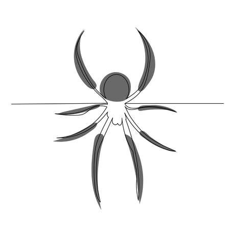 spider drawing by one continuous line, isolated, vectorのイラスト素材
