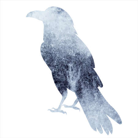 Raven watercolor silhouette, isolated vectorのイラスト素材