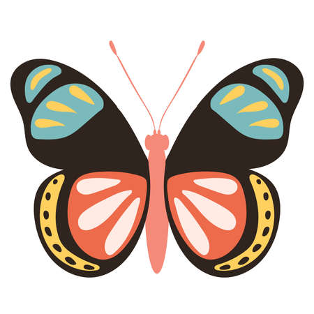 butterfly, flat design on white background, isolatedのイラスト素材