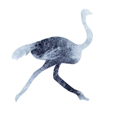 ostrich watercolor silhouette, on white background, vectorのイラスト素材
