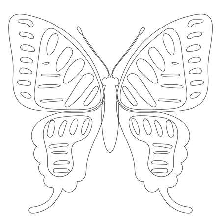 butterfly, contour sketch on white background, isolated, vectorのイラスト素材