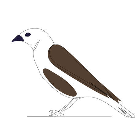 bird drawing in one continuous line, vector, isolatedのイラスト素材