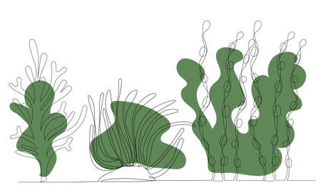 algae drawing in one continuous line, vector, isolatedのイラスト素材