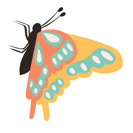 butterfly on white background, vector, isolatedのイラスト素材