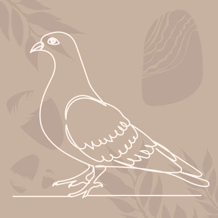 dove line drawing on abstract background ,vector, isolatedのイラスト素材
