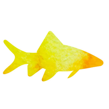 fish watercolor silhouette ,on white background, vectorのイラスト素材