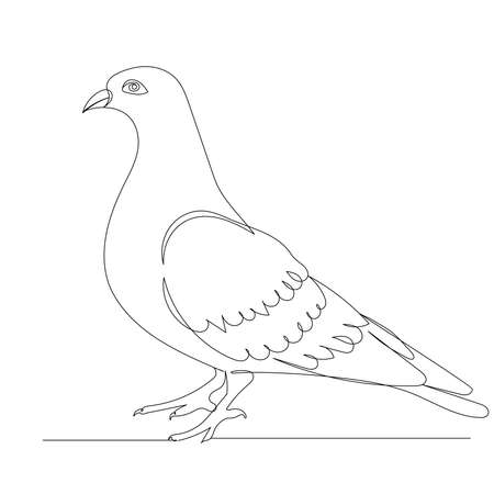 pigeon one line drawing ,vector, isolatedのイラスト素材