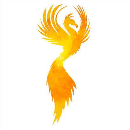 phoenix bird watercolor silhouette ,on white backgroundのイラスト素材