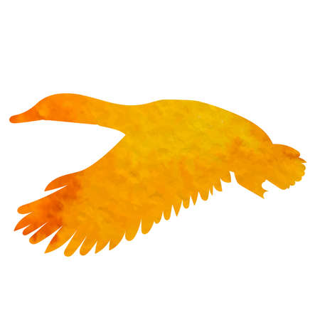 duck watercolor silhouette ,on white background, vectorのイラスト素材
