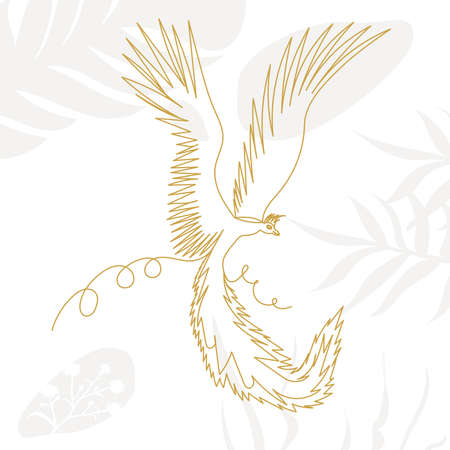 phoenix bird in one line, outline on an abstract background, vector, isolatedのイラスト素材