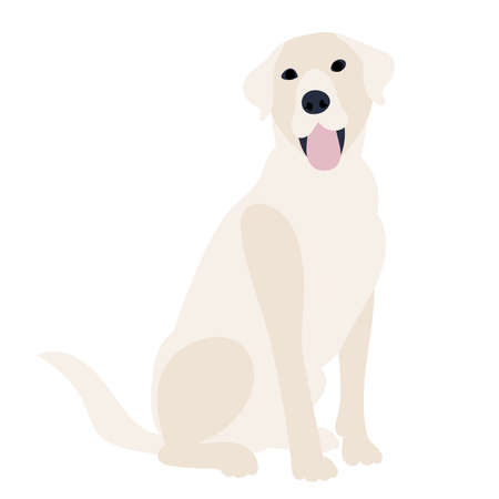 dog sitting flat design on white backgroundのイラスト素材