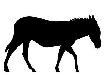 donkey silhouette ,on white background,vectorのイラスト素材