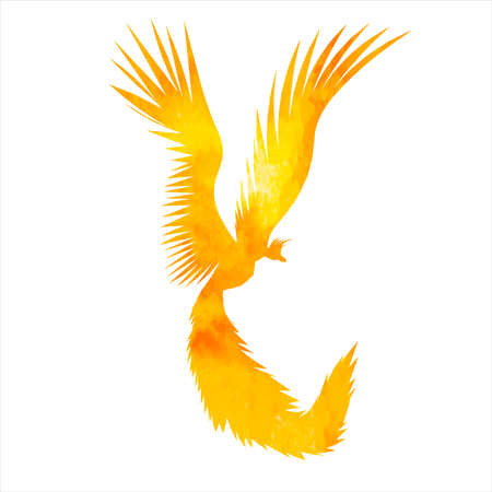 phoenix bird watercolor silhouette ,on white background, vectorのイラスト素材