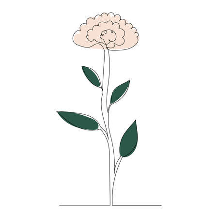 flower contour in one line, on an abstract background,vectorのイラスト素材