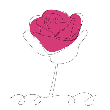 rose outline in one line, on an abstract backgroundのイラスト素材
