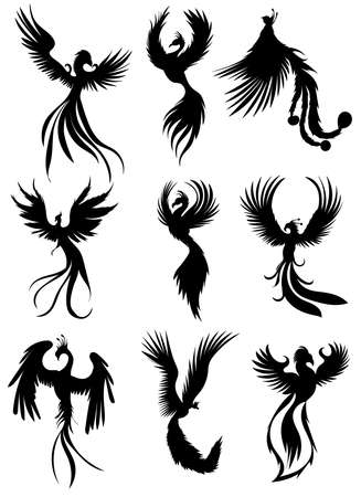 phoenix bird, fire bird set silhouette ,on white backgroundのイラスト素材