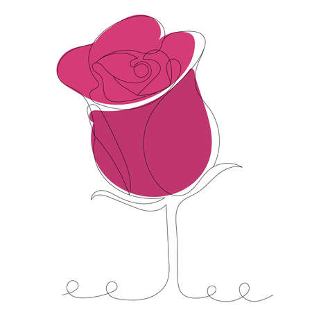 rose pink outline in one lineのイラスト素材