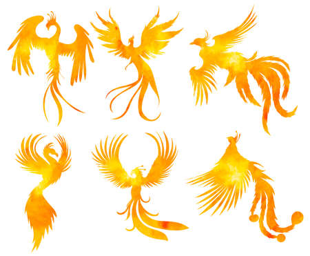 phoenix bird set watercolor silhouette ,on white background, vectorのイラスト素材
