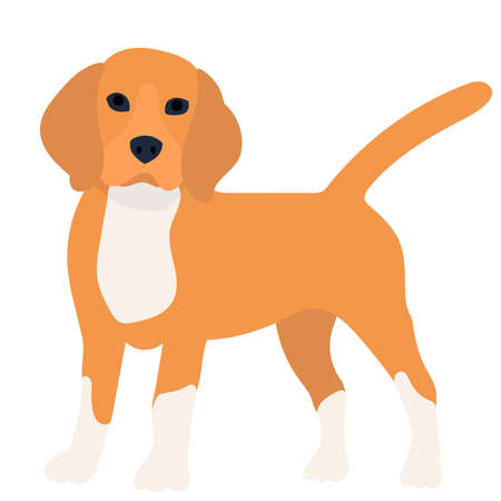 dog flat design on white background, vectorのイラスト素材