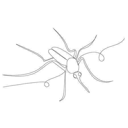 mosquito contour one line sketch vectorのイラスト素材