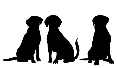 dogs sitting silhouette ,on white background, vectorのイラスト素材