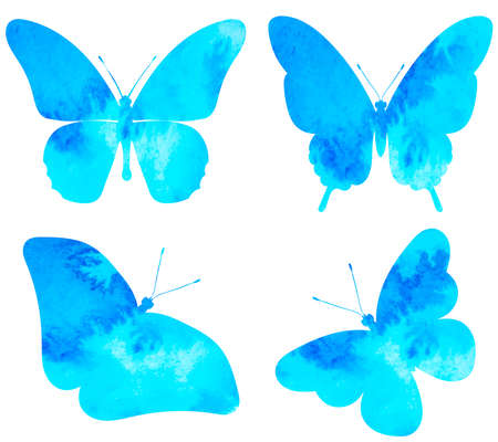 watercolor butterfly silhouette ,on white background, vectorのイラスト素材