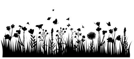 grass, plants silhouette ,on white backgroundのイラスト素材