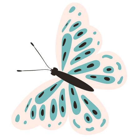 butterfly, insect flat design on white background,isolated vectorのイラスト素材