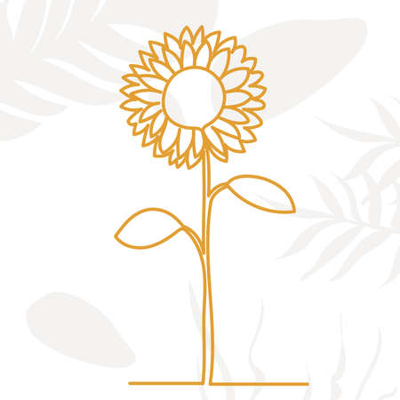 sunflower outline in one line, on an abstract background, vectorのイラスト素材