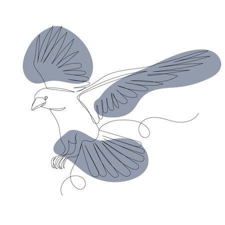 flying bird outline in one line, sketch, vectorのイラスト素材
