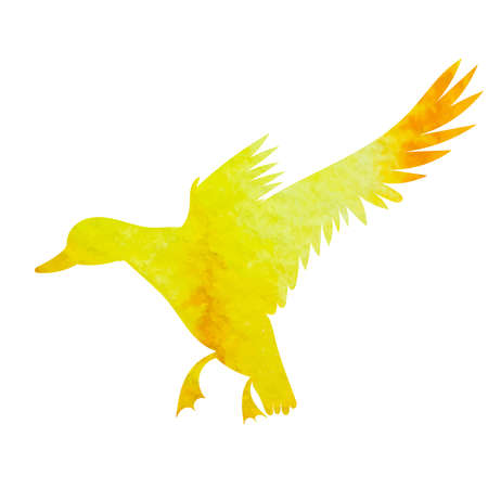 duck flying watercolor silhouette, isolatedのイラスト素材