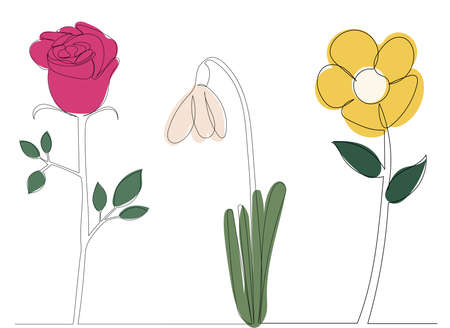 flowers drawing in one line, on an abstract background, vectorのイラスト素材