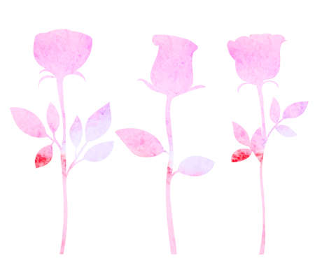 roses watercolor silhouette on white background, isolated vectorのイラスト素材