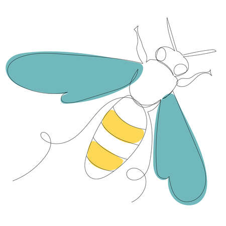 bee drawing in one continuous line, isolated vector