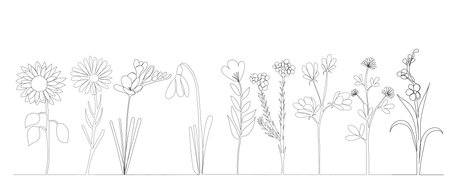 growing flowers drawing in one continuous line, isolatedのイラスト素材