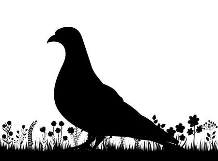 dove in the grass silhouette, isolated vectorのイラスト素材