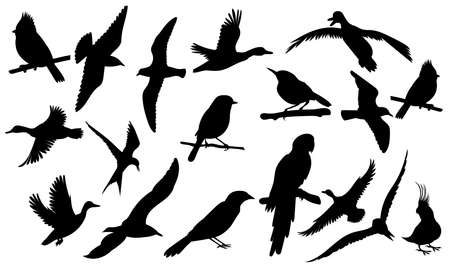 birds set silhouette isolated vectorのイラスト素材