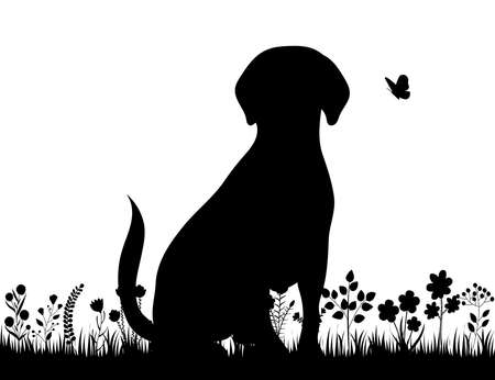 dog sitting on grass silhouette isolated vectorのイラスト素材