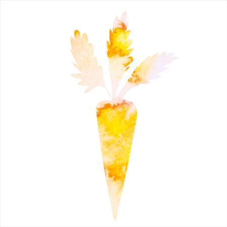 carrot watercolor silhouette isolated vectorのイラスト素材