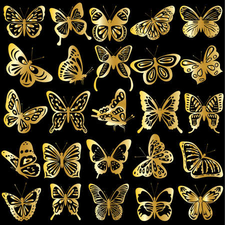 butterfly golden silhouette on black background isolated vectorのイラスト素材